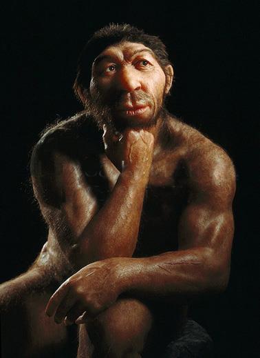 L'Uomo di Neanderthal Una ricostruzione dell'Uomo di Neanderthal