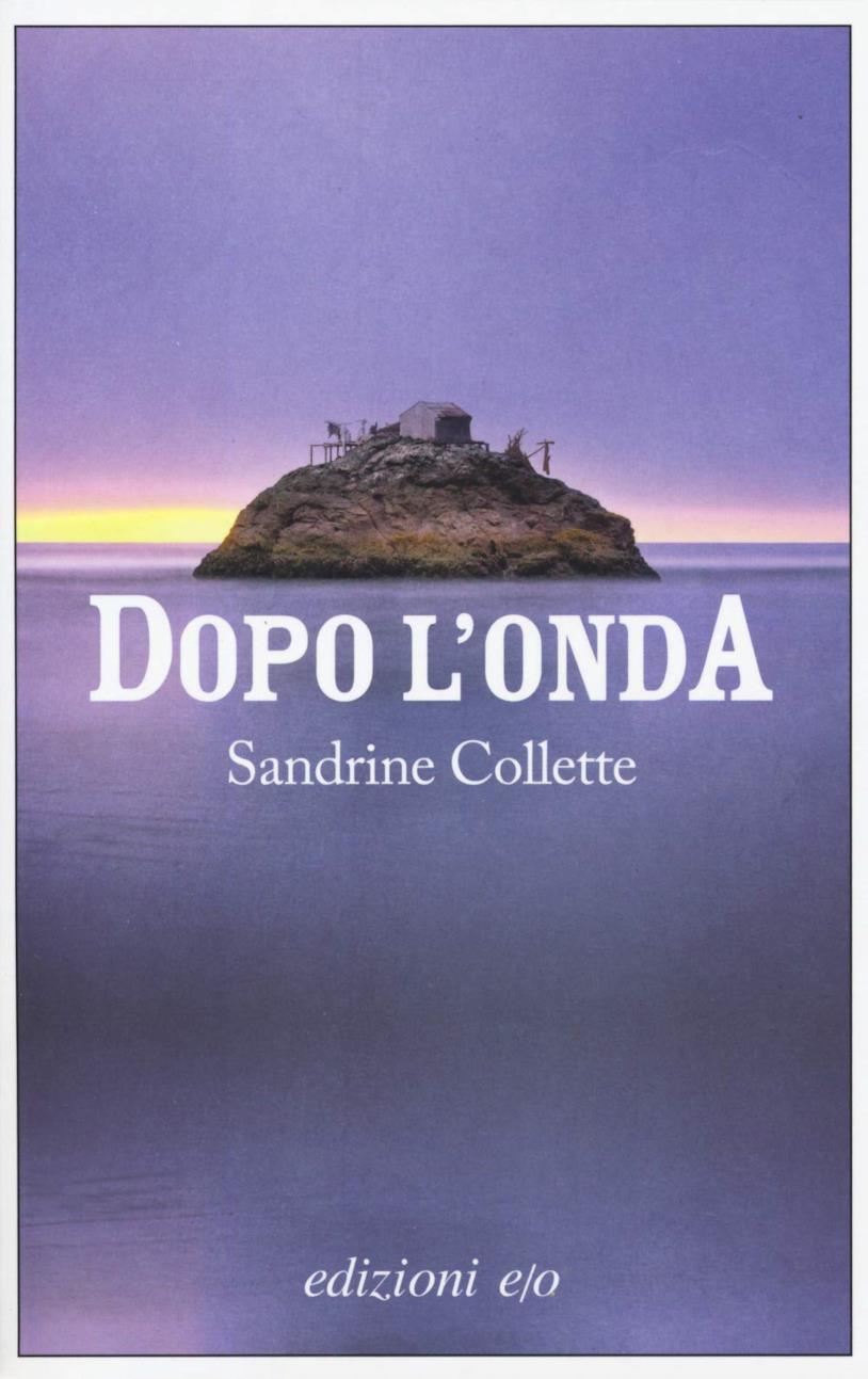 Dopo l'onda La copertina di Dopo l'onda