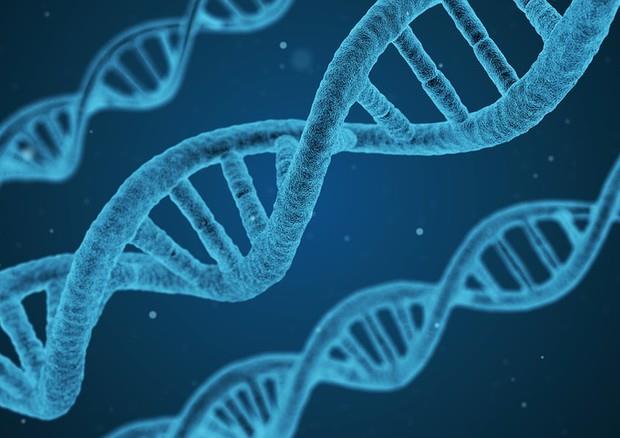 Alcune doppie eliche di DNA Alcune doppie eliche di DNA situate in parallelo l'una rispetto all'altra