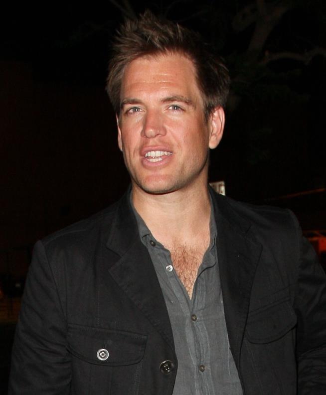 Michael Weatherly partecipa al #tappedchallenge?