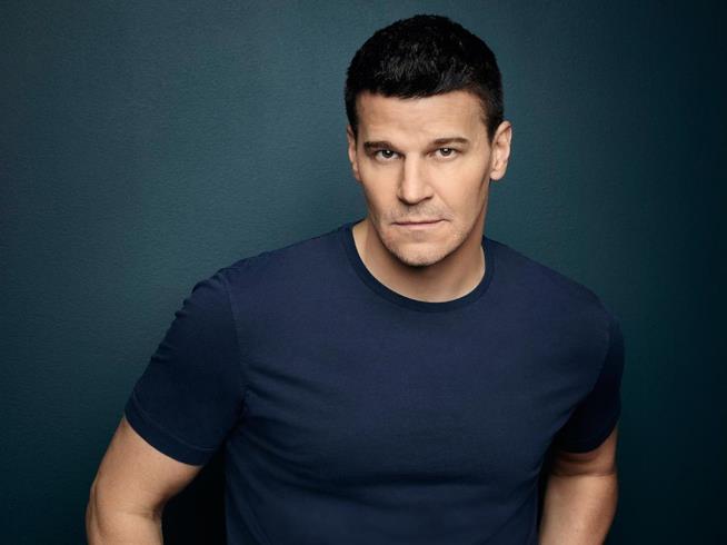 L'interprete di Seeley Booth in Bones, David Boreanaz L'attore David Boreanaz, interprete di Seeley Booth di Bones