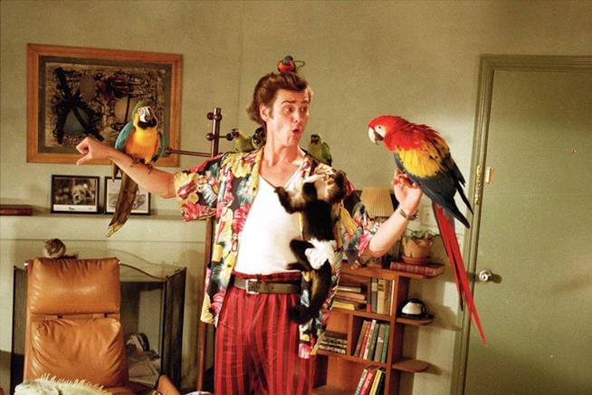 Le scene più divertenti di Ace Ventura - L'acchiappanimali con Jim Carrey Jim Carrey