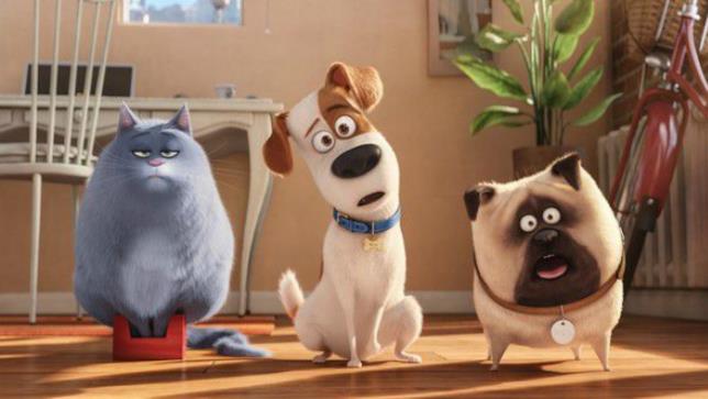 Pets: Vita da Animali I protagonisti di Pets: Vita da Animali