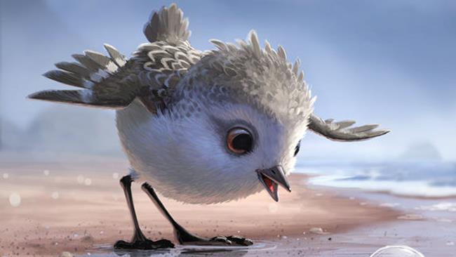Piper: l'immagine dell'uccellino del corto Pixar Piper, personaggio d'animazione Pixar