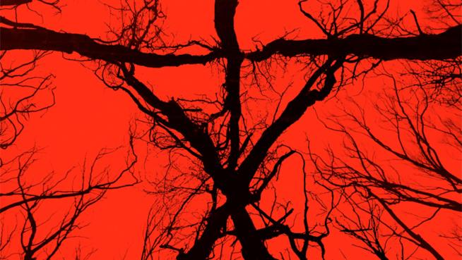Blair Witch sarà il sequel di The Blair Witch Project Al San Diego Comic-Con presentato Blair Witch, sequel del film