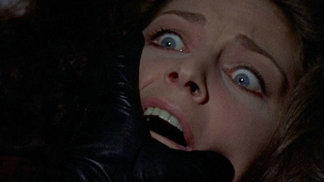 I 20 film thriller da vedere assolutamente Uccello dalle piume di cristallo