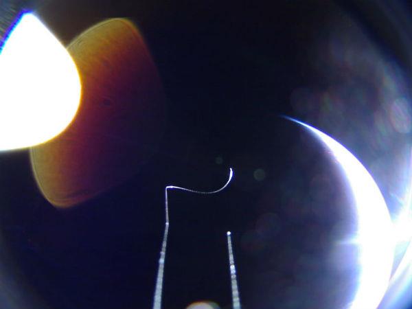 LightSail 2 ha dispiegato i pannelli solari LightSail 2 fotografa la Terra