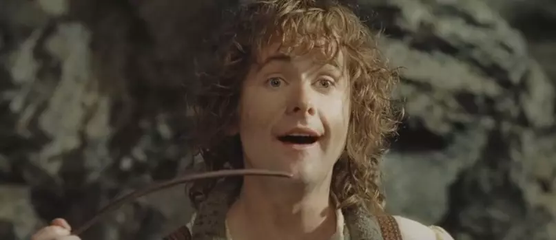 Pipino è un hobbit molto spiritoso Pipino accompagna il protagonista sin dall'inizio