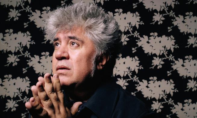 Pedro Almodovar sarà presidente di giuria al Festival di Cannes il regista Pedro Almodovar