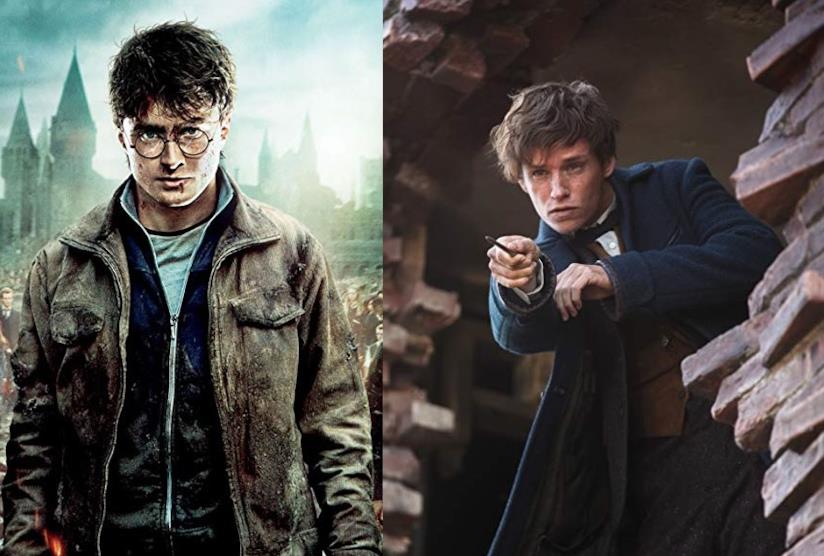 Tutti i film della saga di Harry Potter e Animali Fantastici Harry Potter e Animali Fantastici