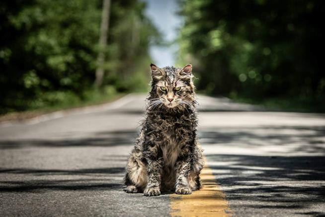 Pet Sematary: i registi spiegano le differenze rispetto al libro Il gatto di Pet Sematary