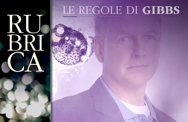 Gibbs e il gioco di squadra
