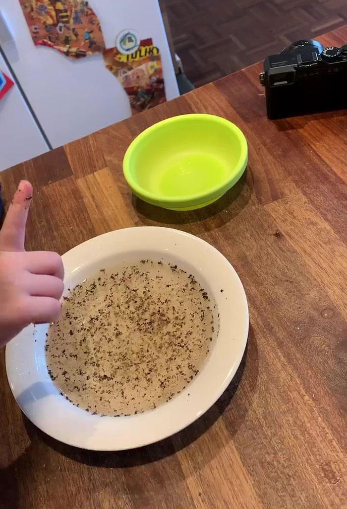 Papà spiega alla figlia l'importanza di lavarsi le mani con un esperimento L'esperimento di Valokuvaaja Ari Mäkiö sulla tensione superficiale svolto da sua figlia