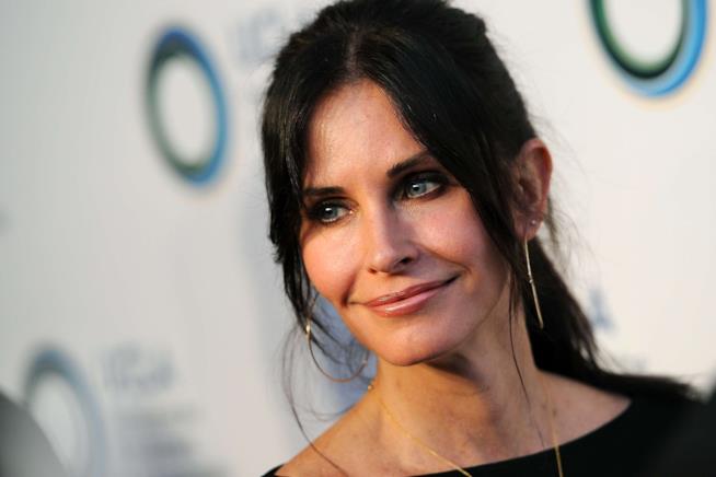 Courteney Cox sta per tornare con una commedia Courteney Cox sarà protagonista di una nuova commedia