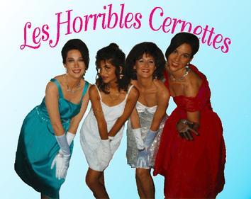 La prima foto pubblicato sul web immortala la band Les Horribles Cernettes La prima foto pubblicata sul web