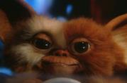 Gremlins: Joe Dante consulente per la serie animata Secrets of the Mogwai Gizmo in Gremlins