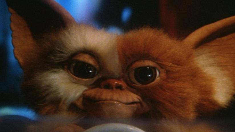 Gremlins: Joe Dante consulente per la serie animata Secrets of the Mogwai Gizmo in Gremlins