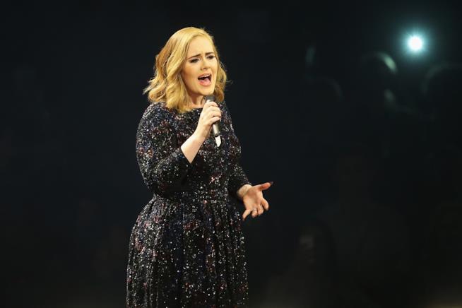 Adele bacia un cagnolino in concerto Primo piano di Adele sul palco