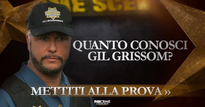 Quanto conosci Gil Grissom?