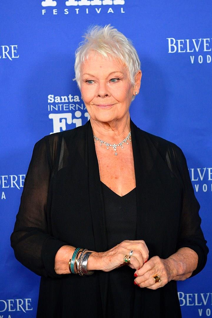 Judi Dench Judi Dench al Santa Barbara International Film Festival