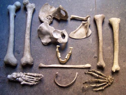 Dapper Cadaver il negozio per chi cerca (ca)rogne - 3