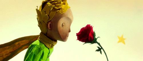 Piccolo principe Il piccolo principe e la rosa