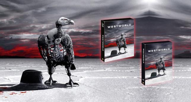 I cofanetti Home Video della stagione 2 di Westworld Westworld in Home Video: i cofanetti della stagione 2