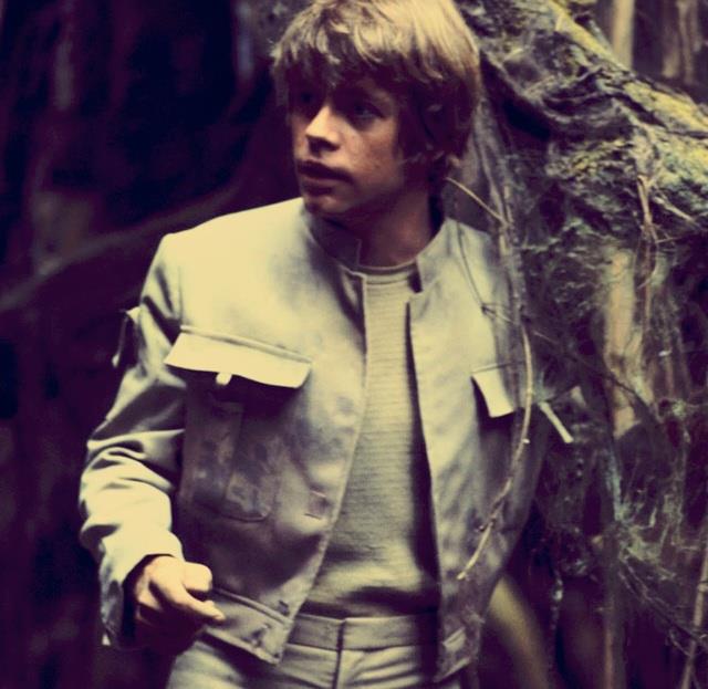 Il giubbotto indossato da Mark Hamill in Star Wars V è simile a quello di Harrison Ford Mezzobusto di Mark Hamill nei panni di Luke Skywalker sullo sfondo di una foresta