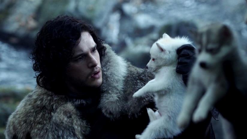 Game of Thrones: GRRM rivela nuovi dettagli sul prequel Jon Snow e Ghost in Game of Thrones