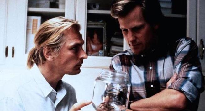 Il remake di Aracnofobia è in lavorazione Julian Sands e Jeff Daniels in Aracnofobia
