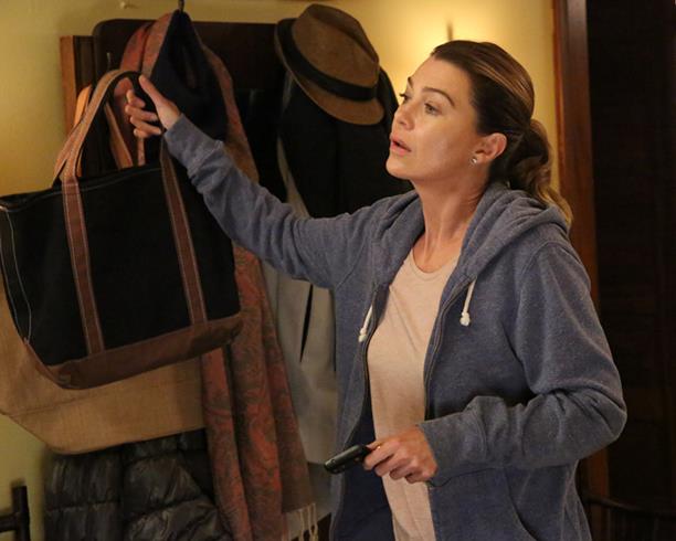 Immagine dell'episodio 1 di Grey's Anatomy 13: Meredith Meredith Grey