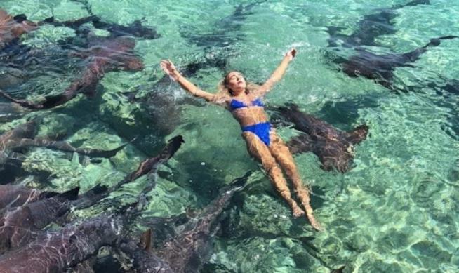 Modella viene morsa da uno squalo durante una foto in acqua La modella morsa da uno squalo durante una foto