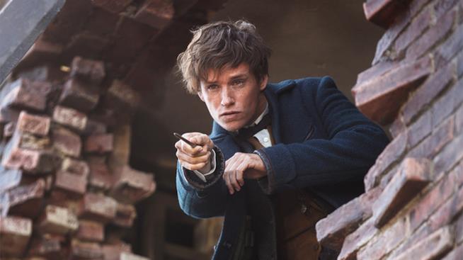 Animali Fantastici 3 sarà un film "gigantesco" e ambientato in Brasile Eddie Redmayne nei panni del protagonista
