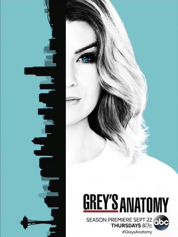 Grey's Anatomy il poster della stagione 13 Il poster di Grey's Anatomy 13