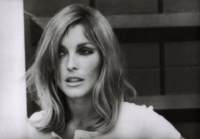 Sharon Tate, potrebbe essere Margot Robbie ad impersonarla in un film L'attrice Sharon Tate, uccisa nel '69 nella strage di Cielo Drive