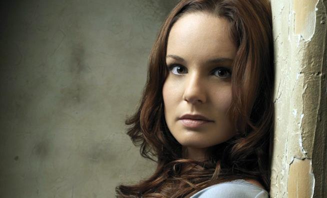 Sarah Wayne Callies torna in Prison Break Sarah Wayne Callies: la Dottoressa Tancredi di Prison Break