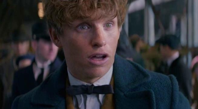 Animali Fantastici, è stata rivelata la scena segreta che avrebbe cambiato il finale del film Eddie Redmayne Animali Fantastici e Dove Trovarli