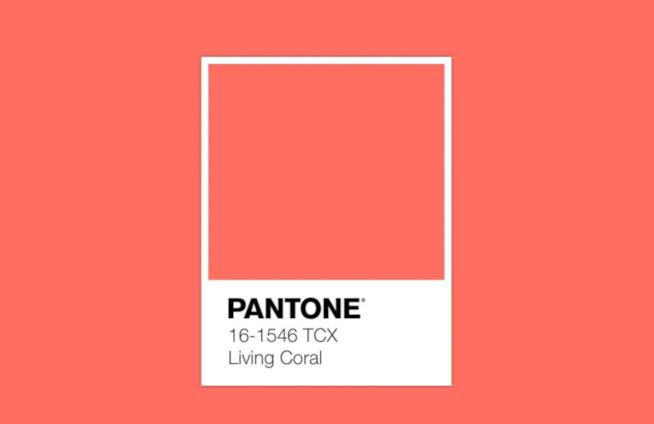 Pantone Living Coral Color Pantone
