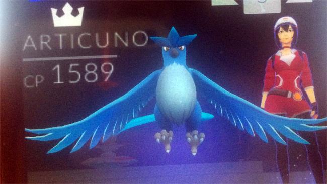 Pokémon GO, avvistato e catturato il Pokémon leggendario Articuno Pokémon leggendario Articuno