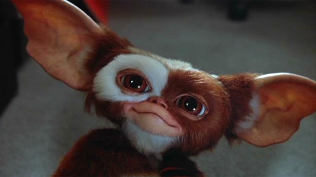 Gremlins 3: le ultime novità sul sequel Il Gremlin Gizmo in una foto di scena
