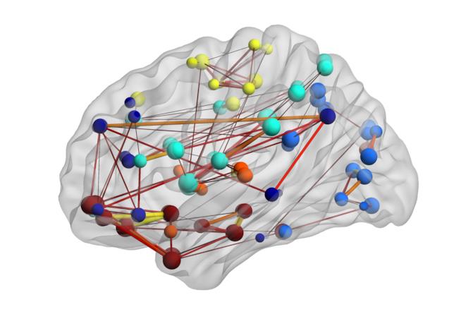 BrainNet, la rete che consente di collegare più cervelli umani Modularità del cervello umano