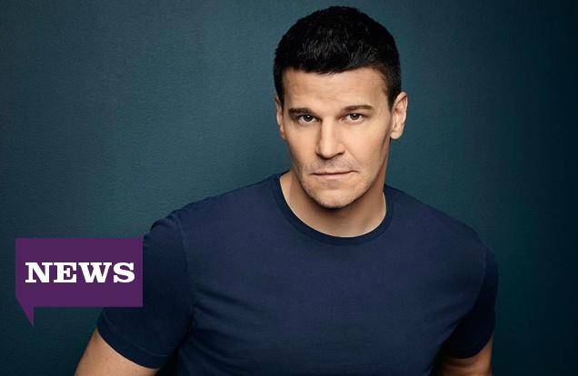 4 domande insolite per David Boreanaz