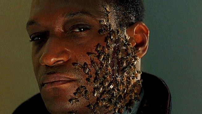 Candyman avrà un remake e Jordan Peele è in trattativa per produrlo Tony Todd è Candyman nell'omonimo film del 1992