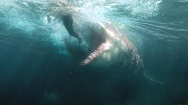 Shark - Il primo squalo, i commenti del cast L'attacco del Megalodonte