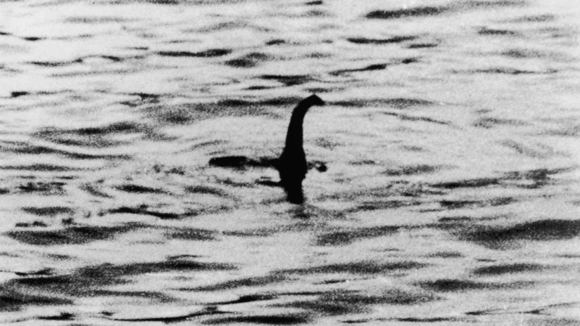 Il mostro di Loch Ness: per un nuovo studio potrebbe essere un'anguilla gigante Lo scatto più celebre del (presunto) mostro di Loch Ness