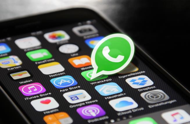 WhatsApp supporterà presto l'autenticazione biometrica su iPhone Icona di WhatsApp