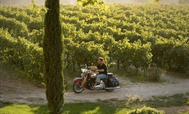 Un'ottima annata - Le frasi dal film Una scena di Un'ottima annata