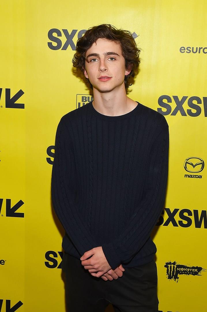 Timothée Chalamet Il giovane attore Timothée Chalamet