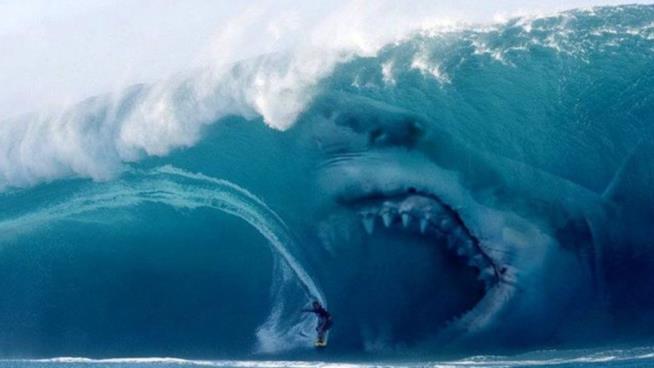 Il Megalodonte è stato il più grande predatore degli abissi Il Megalodonte del film Shark - Il Primo Squalo