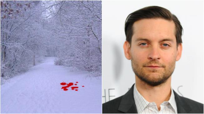 Sangue e Neve: il film dal libro di Jo Nesbø sarà il debutto alla regia per Tobey Maguire Tobey Maguire e un'immagine ipotetica di Sangue e Neve